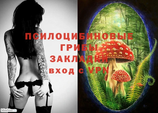 apvp Алзамай