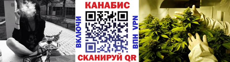 Конопля индика Дудинка